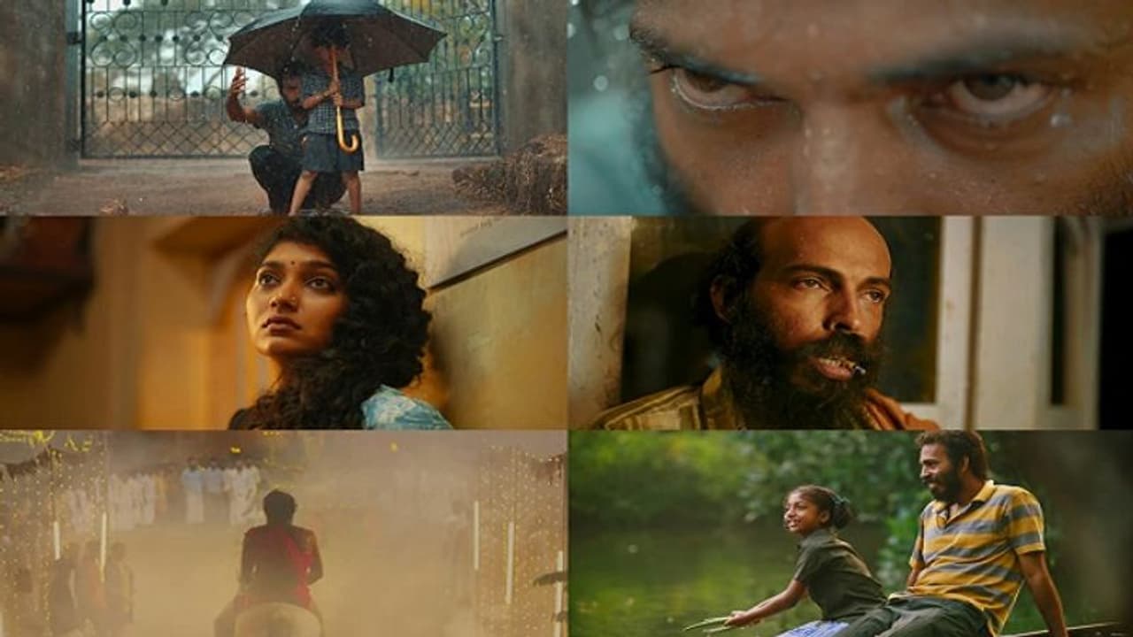 'ತಣ್ಣಗಾದ್ರೆ ಸೌದೆಗೆ ಏನ್ ಬೆಲೆ..' ಯೂಟ್ಯೂಬ್ನಲ್ಲಿ ಟೋಬಿ ಟ್ರೇಲರ್ ಬೆಂಕಿ! 'ತಣ್ಣಗಾದ್ರೆ ಸೌದೆಗೆ ಏನ್ ಬೆಲೆ..' ಯೂಟ್ಯೂಬ್ನಲ್ಲಿ ಟೋಬಿ ಟ್ರೇಲರ್ ಬೆಂಕಿ!