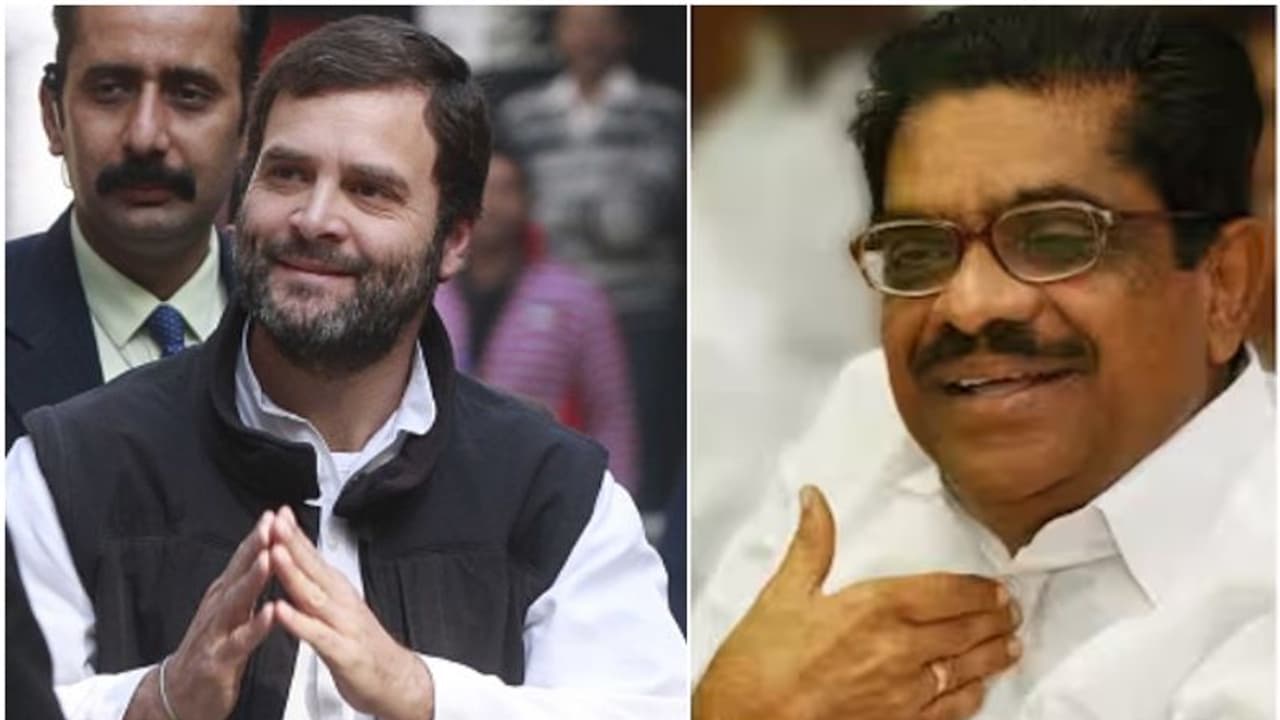 സത്യത്തിന്റെ വിജയം, സുപ്രീം കോടതി വിധി വർഗീയ ഫാസിസ്റ്റ് ശക്തികൾക്കേറ്റ കനത്ത തിരിച്ചടി: വിഎം സുധീരൻ സത്യത്തിന്റെ വിജയം, സുപ്രീം കോടതി വിധി വർഗീയ ഫാസിസ്റ്റ് ശക്തികൾക്കേറ്റ കനത്ത തിരിച്ചടി: വിഎം സുധീരൻ