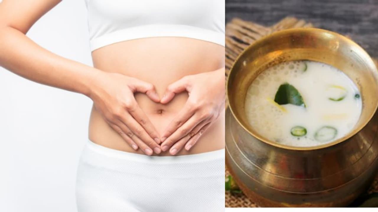 തൈര് മാത്രമല്ല, ഈ ഭക്ഷണങ്ങളും വയറിന്റെ ആരോഗ്യത്തിനായി കഴിക്കാം... തൈര് മാത്രമല്ല, ഈ ഭക്ഷണങ്ങളും വയറിന്റെ ആരോഗ്യത്തിനായി കഴിക്കാം...