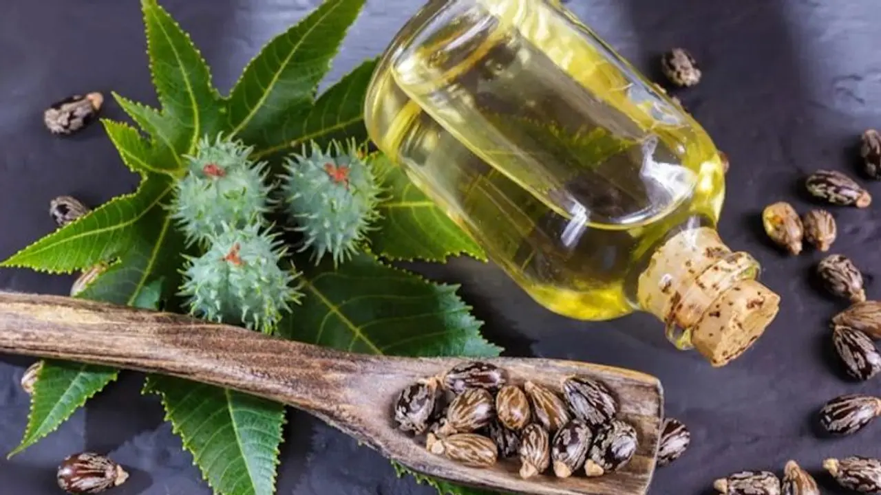 Hair Care: 5 incredible advantages of Castor Oil Hair Care: 5 incredible advantages of Castor Oil