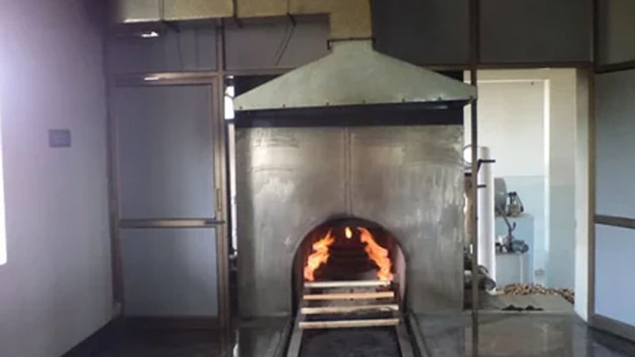 சென்னையில் அதிர்ச்சி.. மயானத்தில் அரைகுறையாக எரிக்கப்படும் உடல்கள்.. அம்பலமானது எப்படி தெரியுமா? சென்னையில் அதிர்ச்சி.. மயானத்தில் அரைகுறையாக எரிக்கப்படும் உடல்கள்.. அம்பலமானது எப்படி தெரியுமா?