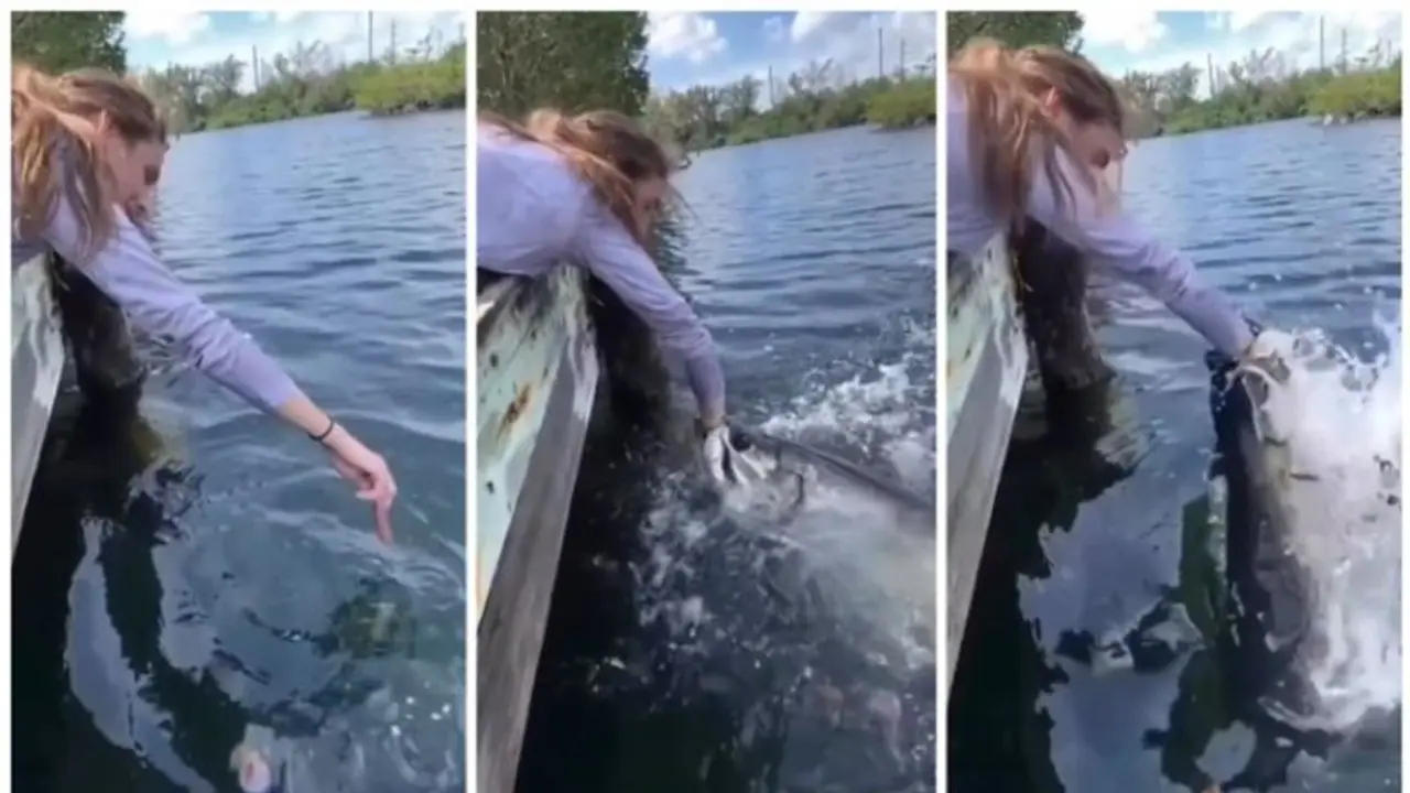 ஜஸ்ட் மிஸ்! ராட்சத மீனுக்கு உணவு கொடுத்த பெண்.. பின்னர் நடந்த அதிர்ச்சி சம்பவம்.. வைரல் வீடியோ