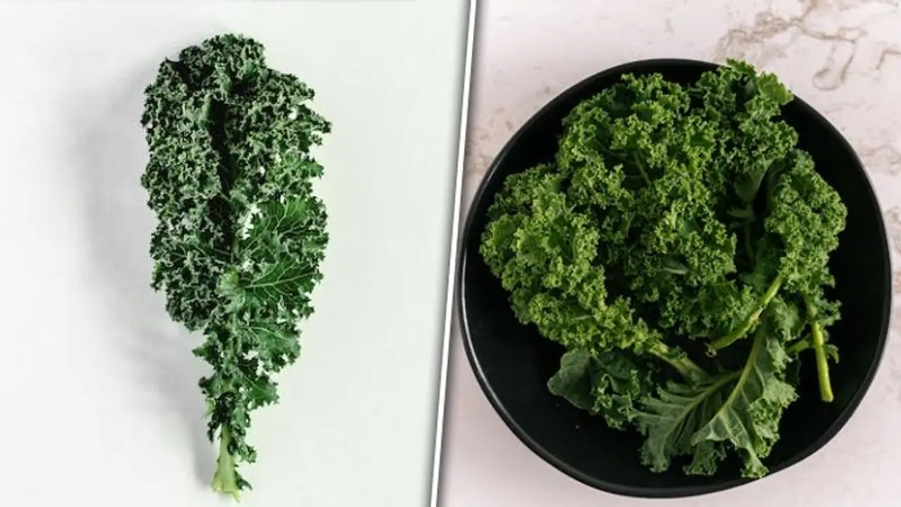 Bone booster to heart: 5 health benefits of Kale
