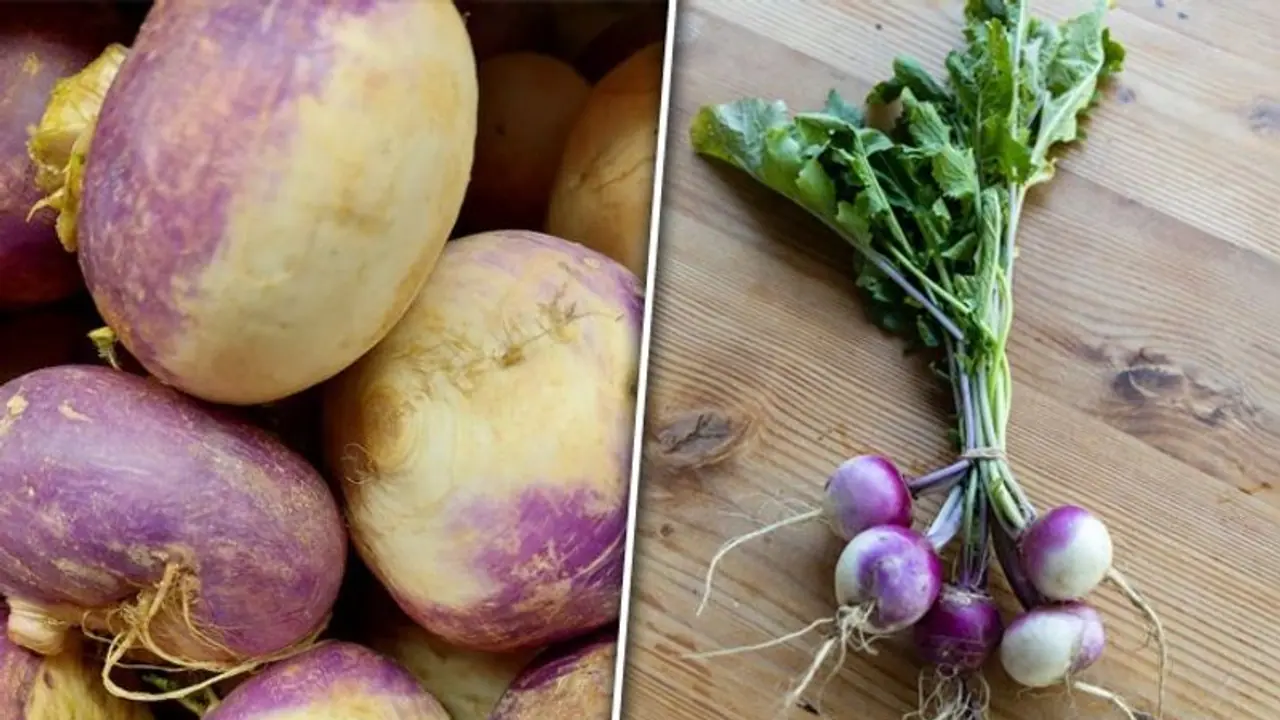 Enhancing bones to weight management: 5 health benefits of Turnip