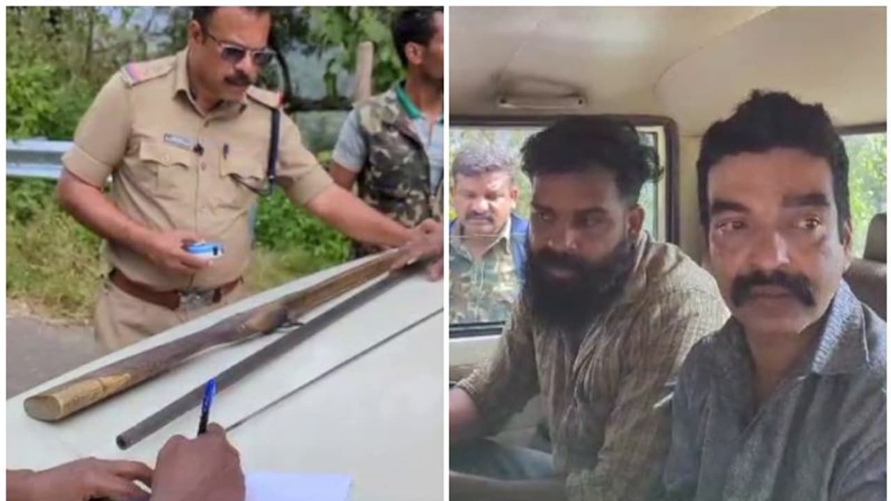 വനത്തിനുള്ളിൽ വെടിയൊച്ച കേട്ട് വനപാലകരെത്തി, ടോർച്ചിൻ്റെ വെളിച്ചം കണ്ട് പതിയിരുന്നു; മൃഗവേട്ടക്കാർ പിടിയിൽ വനത്തിനുള്ളിൽ വെടിയൊച്ച കേട്ട് വനപാലകരെത്തി, ടോർച്ചിൻ്റെ വെളിച്ചം കണ്ട് പതിയിരുന്നു; മൃഗവേട്ടക്കാർ പിടിയിൽ