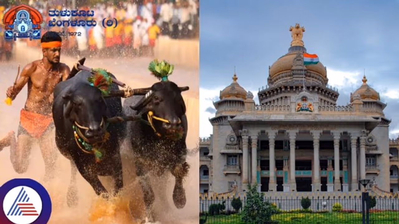 Kambala festival from coastal Karnataka heading to Bengaluru's Palace Ground