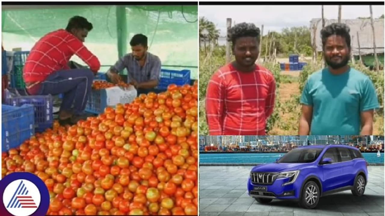 ರೈತನಿಗೆ ಹೆಣ್ಣು ಕೊಡೊಲ್ಲವೆಂದವರಿಗೆ ಸವಾಲು: ಟೊಮೆಟೊ ಮಾರಿ ಹೊಸ ಕಾರಿನಲ್ಲಿ ಕನ್ಯಾ ಕೇಳೋಕೆ ಹೋಗ್ತೀನೆಂದ ರೈತರು