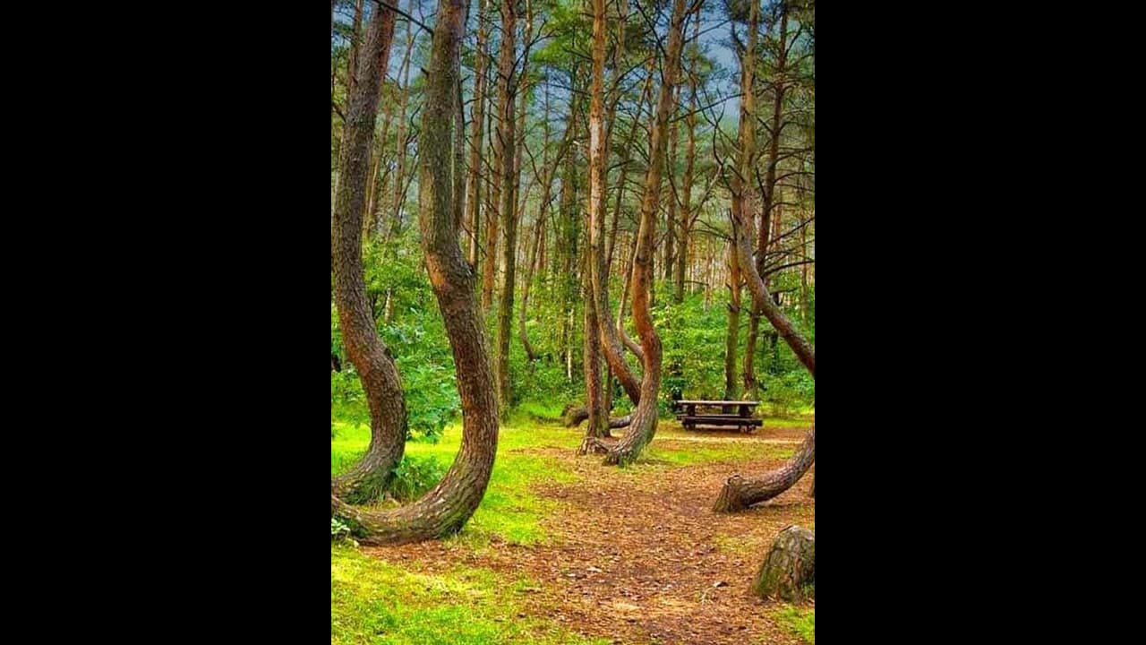 ದೇವರಾಯನದುರ್ಗದಲ್ಲಿ ಅರಣ್ಯ ಒತ್ತುವರಿ: ಹೈಕೋರ್ಟ್ ನೋಟಿಸ್ ದೇವರಾಯನದುರ್ಗದಲ್ಲಿ ಅರಣ್ಯ ಒತ್ತುವರಿ: ಹೈಕೋರ್ಟ್ ನೋಟಿಸ್