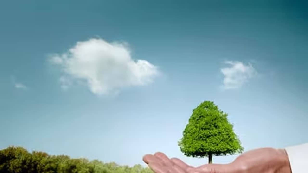 சுற்றுச்சூழல் பாதுகாப்பில் உலகளவிய சக்தியாக இந்தியா உருவெடுத்தது எப்படி?