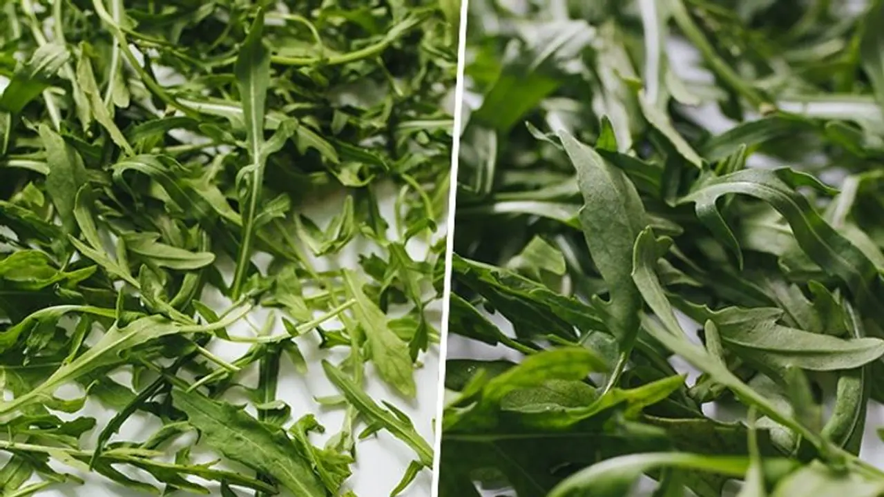 Weight management to Heart : 5 health benefits of Argula Weight management to Heart : 5 health benefits of Argula