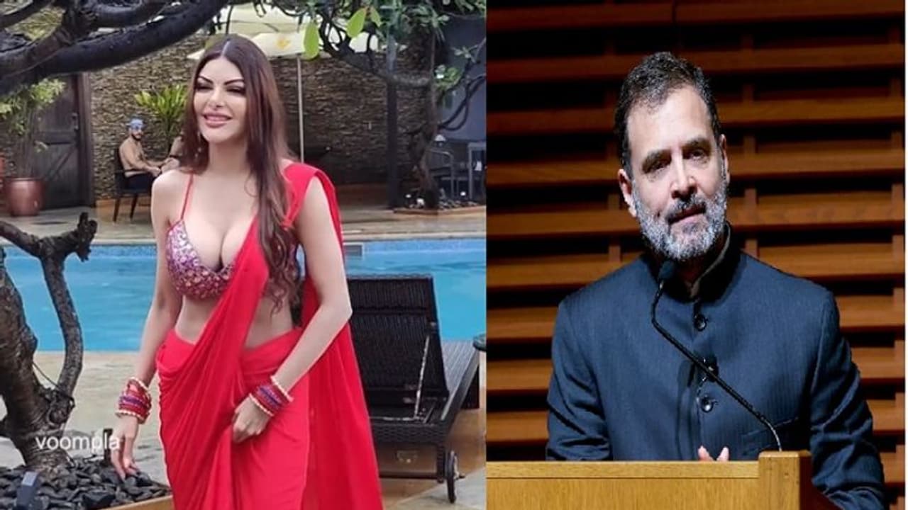 ರಾಹುಲ್ ಗಾಂಧಿ ಮದ್ವೆಯಾಗಲು ರೆಡಿ, ಆದ್ರೆ ಒಂದು ಕಂಡೀಷನ್;ಸಂಚಲನ ಸೃಷ್ಟಿಸಿದ ಶೆರ್ಲಿನ್ ಚೋಪ್ರಾ!