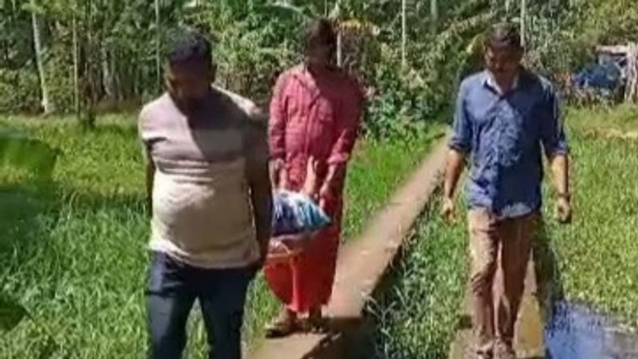 കിടപ്പുരോഗികളെ അടക്കം പുറത്തെത്തിക്കാൻ സർക്കസ് കളിക്കേണ്ട അവസ്ഥ; ബുധനൂരിൽ വഴി വേണമെന്ന് നാട്ടുകാർ