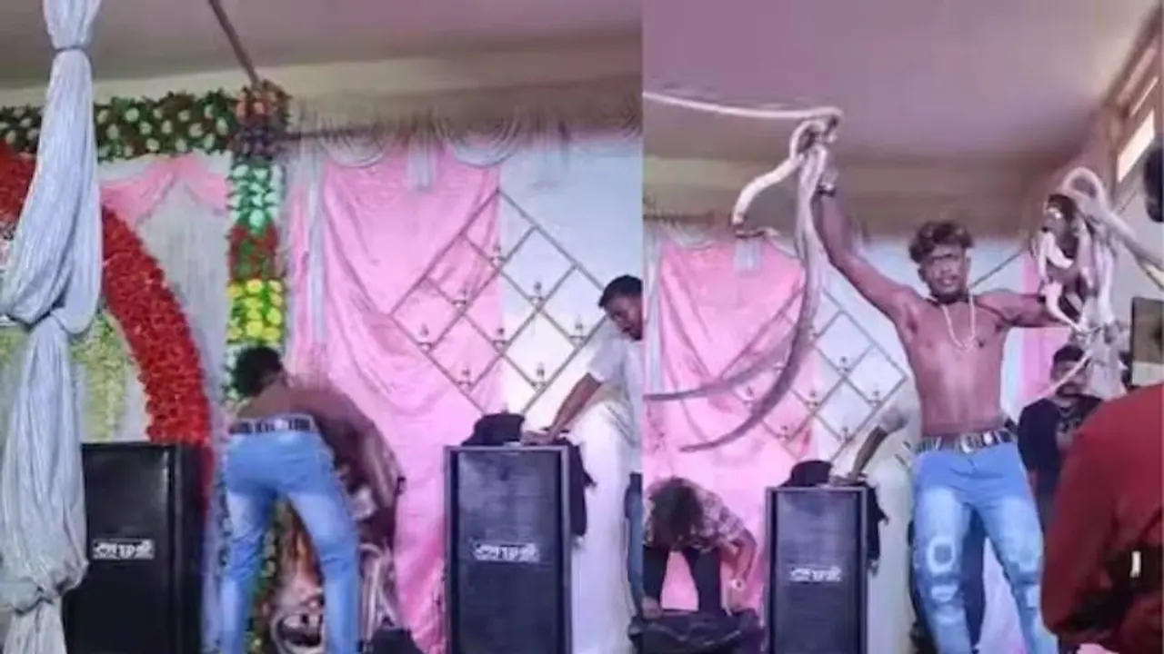  “ஹலோ, வனத்துறையா.. இவரு பாம்புகளை வைத்து என்ன பன்றாரு பாருங்க..” வைரல் வீடியோ 