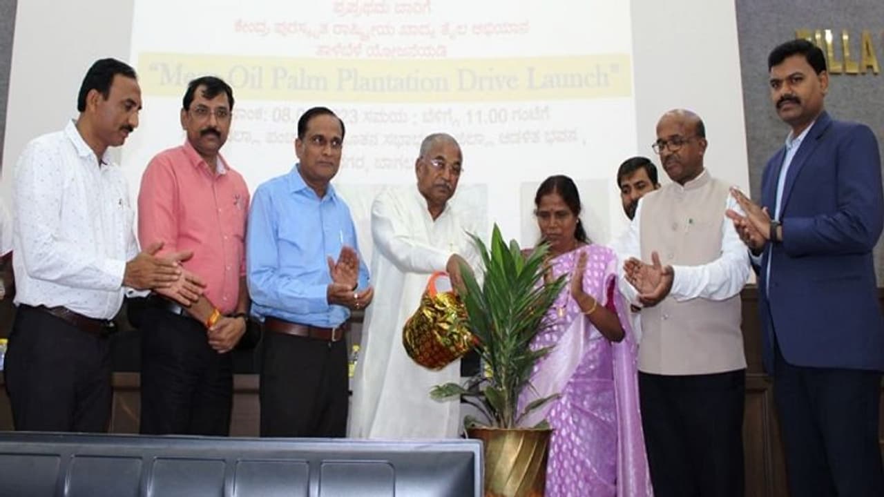 ಬಾಗಲಕೋಟೆ: ಕಬ್ಬಿಗಿಂತ ತಾಳೆ ಬೆಳೆ ಲಾಭದಾಯಕ, ಎಂಎಲ್ಸಿ ಪಿ.ಎಚ್.ಪೂಜಾರ ಬಾಗಲಕೋಟೆ: ಕಬ್ಬಿಗಿಂತ ತಾಳೆ ಬೆಳೆ ಲಾಭದಾಯಕ, ಎಂಎಲ್ಸಿ ಪಿ.ಎಚ್.ಪೂಜಾರ