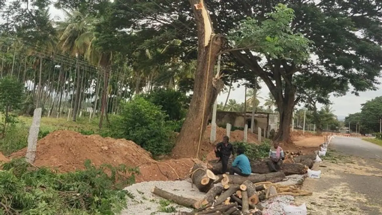 ಚಿಕ್ಕಬಳ್ಳಾಪುರ: ಹೆದ್ದಾರಿ ಅಗಲೀಕರಣಕ್ಕೆ ಮರಗಳ ಮಾರಣ ಹೋಮ..! ಚಿಕ್ಕಬಳ್ಳಾಪುರ: ಹೆದ್ದಾರಿ ಅಗಲೀಕರಣಕ್ಕೆ ಮರಗಳ ಮಾರಣ ಹೋಮ..!