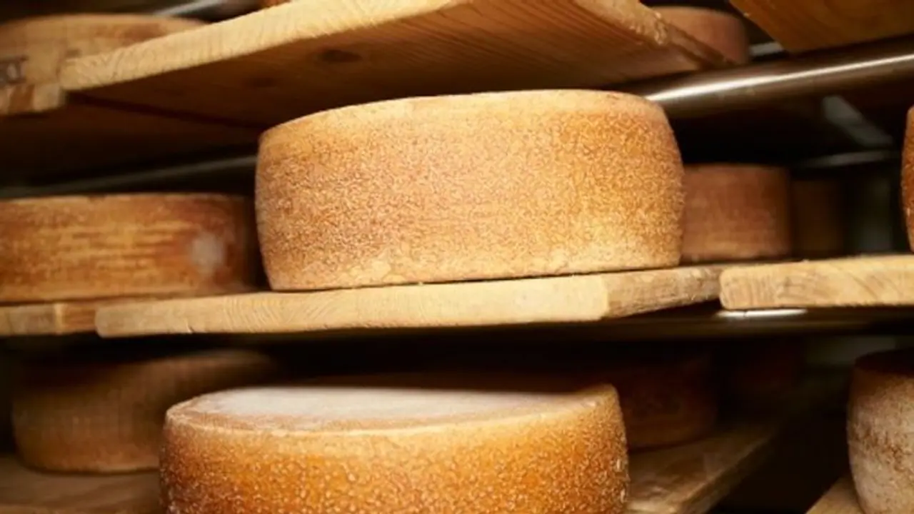 Fatal mishap: Italian cheesemaker dies after being crushed by thousands of cheese wheels