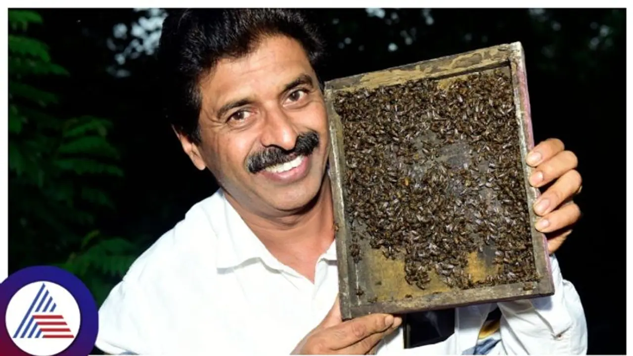 ವಿದ್ಯೆ ಕೈ ಹಿಡಿಯದಿದ್ದರೇನು ಬದುಕು ಸಾಗಬೇಕಲ್ಲ? ಜೀವನಕ್ಕೆ ಜೇನು ಕೃಷಿಯ ಖುಷಿ ವಿದ್ಯೆ ಕೈ ಹಿಡಿಯದಿದ್ದರೇನು ಬದುಕು ಸಾಗಬೇಕಲ್ಲ? ಜೀವನಕ್ಕೆ ಜೇನು ಕೃಷಿಯ ಖುಷಿ