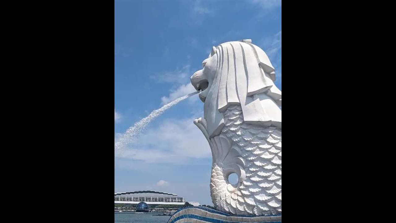 சிங்கப்பூரில் லாரியில் இருந்து விழுந்த தமிழர் ராமலிங்கம் முருகன்; ரூ. 60.86 லட்சம் இழப்பீடு வழங்க உத்தரவு!! சிங்கப்பூரில் லாரியில் இருந்து விழுந்த தமிழர் ராமலிங்கம் முருகன்; ரூ. 60.86 லட்சம் இழப்பீடு வழங்க உத்தரவு!!