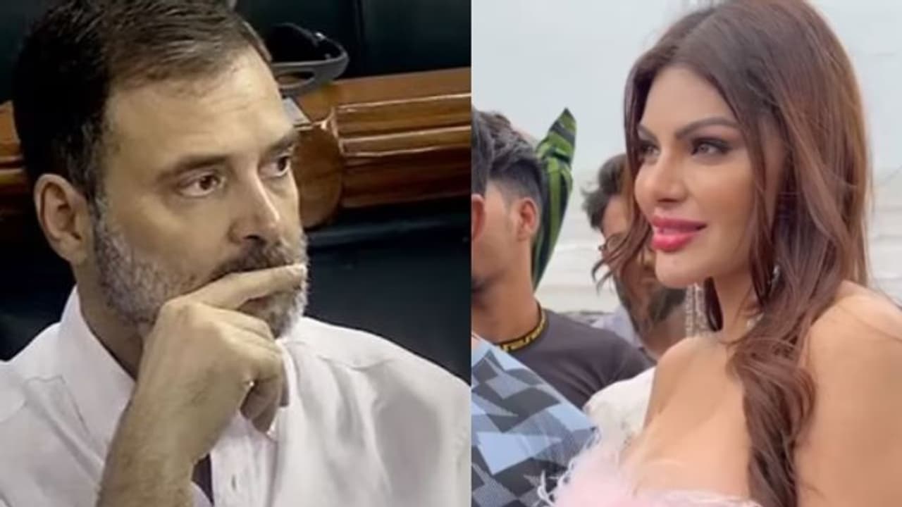 'രാഹുലിനെ വിവാഹം കഴിക്കാം, പക്ഷേ ഒരു കണ്ടീഷൻ'; ഷെര്ലിന് ചോപ്ര 'രാഹുലിനെ വിവാഹം കഴിക്കാം, പക്ഷേ ഒരു കണ്ടീഷൻ'; ഷെര്ലിന് ചോപ്ര