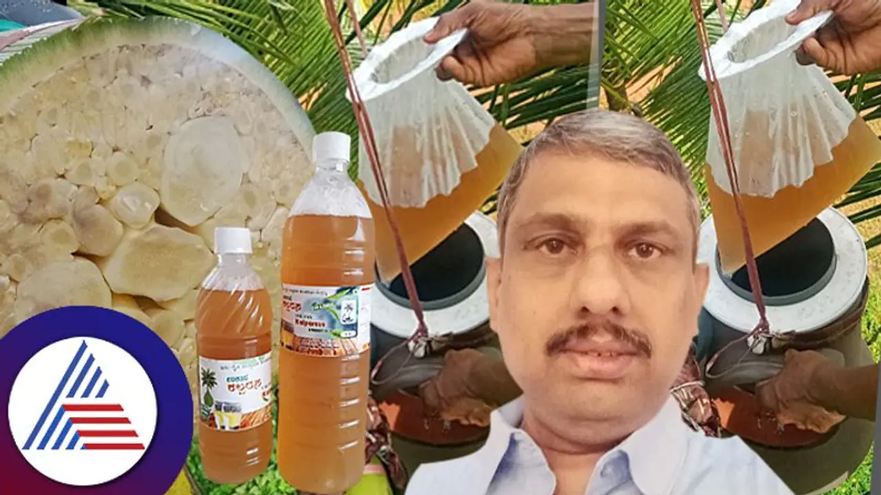 ಕಲ್ಪವೃಕ್ಷ ನೀಡಿದ ಕಲ್ಪರಸ, ಇದು ಕರಾವಳಿಯ ಕಾಮಧೇನು! ಕಲ್ಪವೃಕ್ಷ ನೀಡಿದ ಕಲ್ಪರಸ, ಇದು ಕರಾವಳಿಯ ಕಾಮಧೇನು!