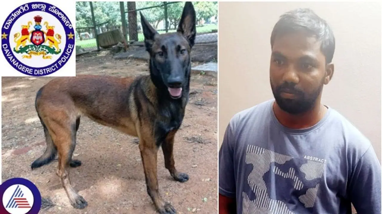 Police dog Tara tracks down murderer 8 km away in Karnataka's Davangere Police dog Tara tracks down murderer 8 km away in Karnataka's Davangere