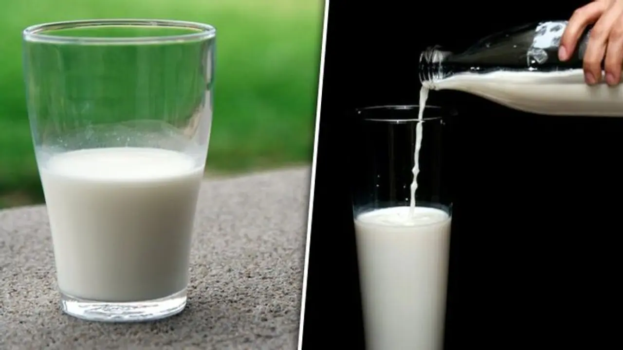 Bone health to muscle recovery: 7 benefits of Milk Bone health to muscle recovery: 7 benefits of Milk