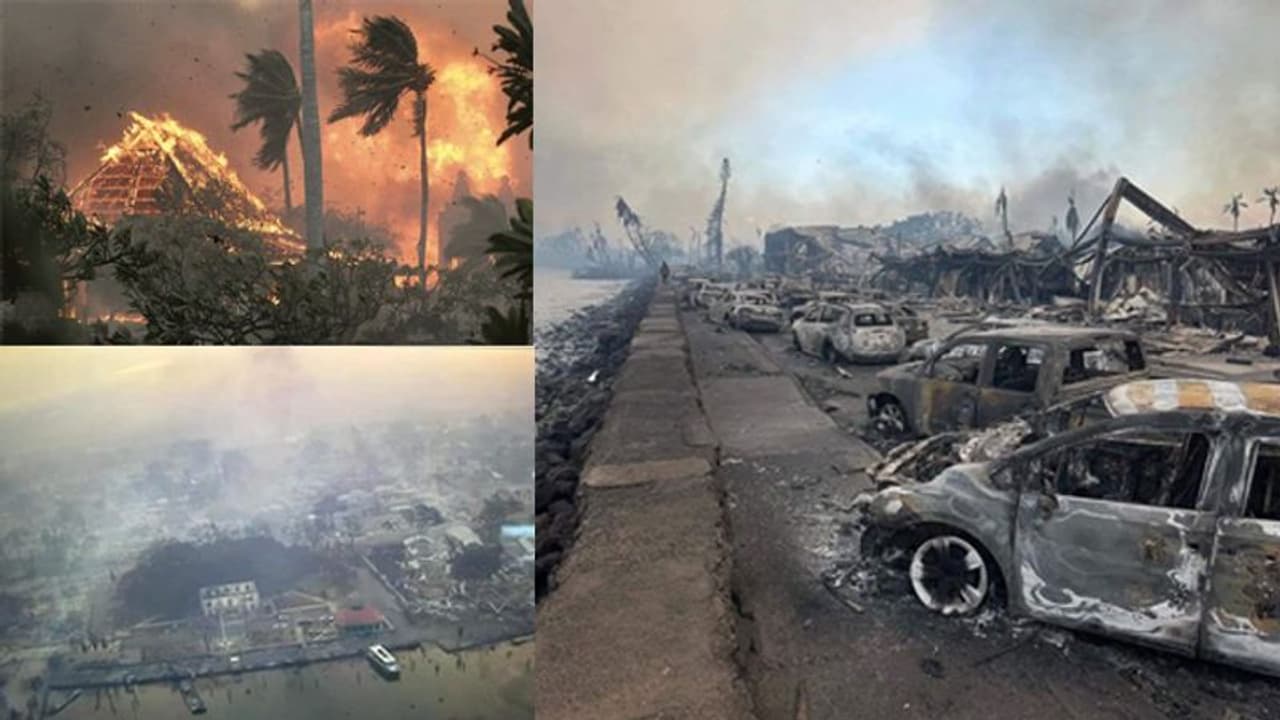 Maui island: హవాయిలో కార్చిచ్చు బీభత్సం.. 36 మంది మృతి Maui island: హవాయిలో కార్చిచ్చు బీభత్సం.. 36 మంది మృతి