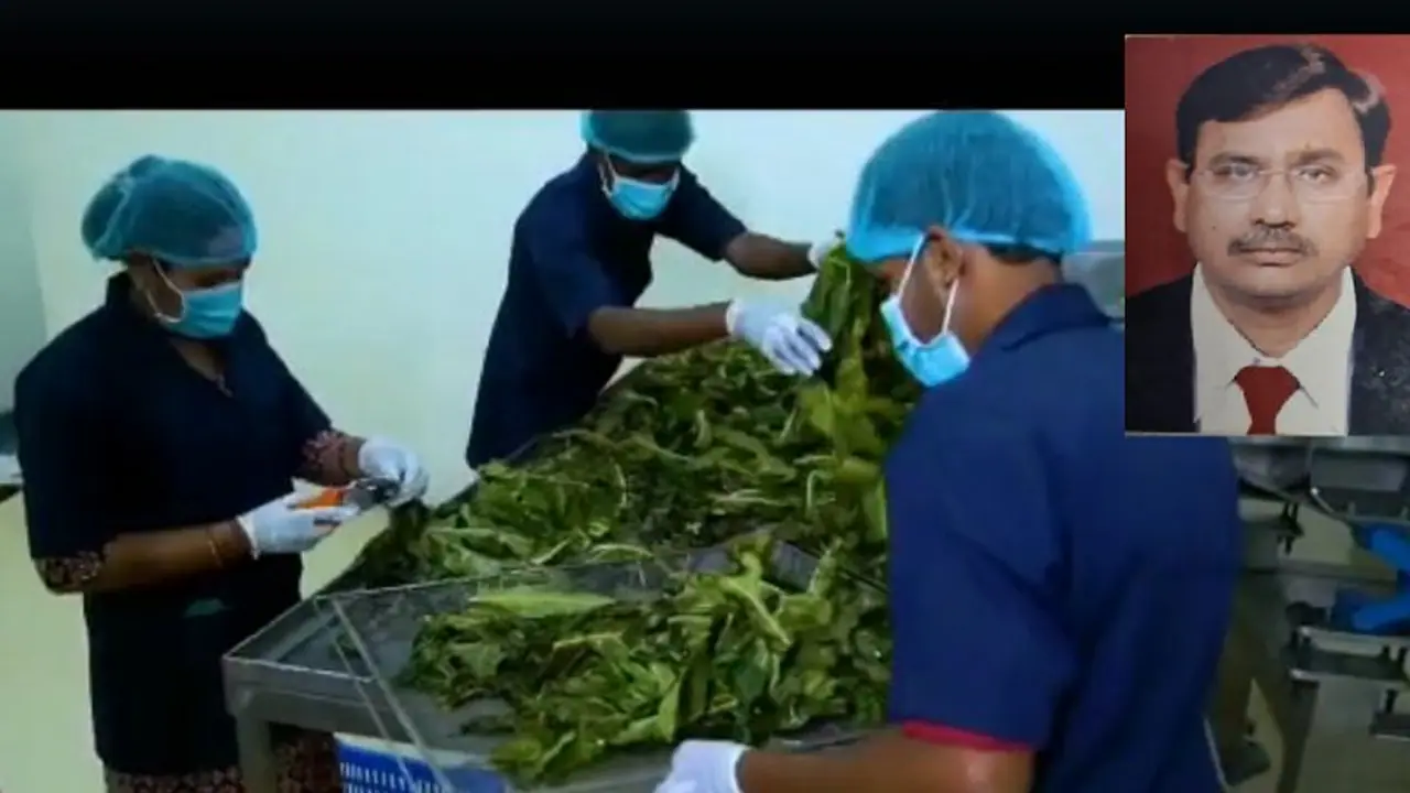 ಆಫ್ರಿಕಾ ಜನರ ಆರೋಗ್ಯದ ಗುಟ್ಟು ಭಾರತಕ್ಕೆ ಪರಿಚಯಿಸಿದ ಅನಿಲ್: Baobab Tree ವೈಶಿಷ್ಟ್ಯತೆ ಗೊತ್ತಾ?