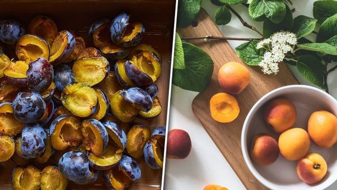 Apricot to Prunes: 5 fruits that are rich in IRON