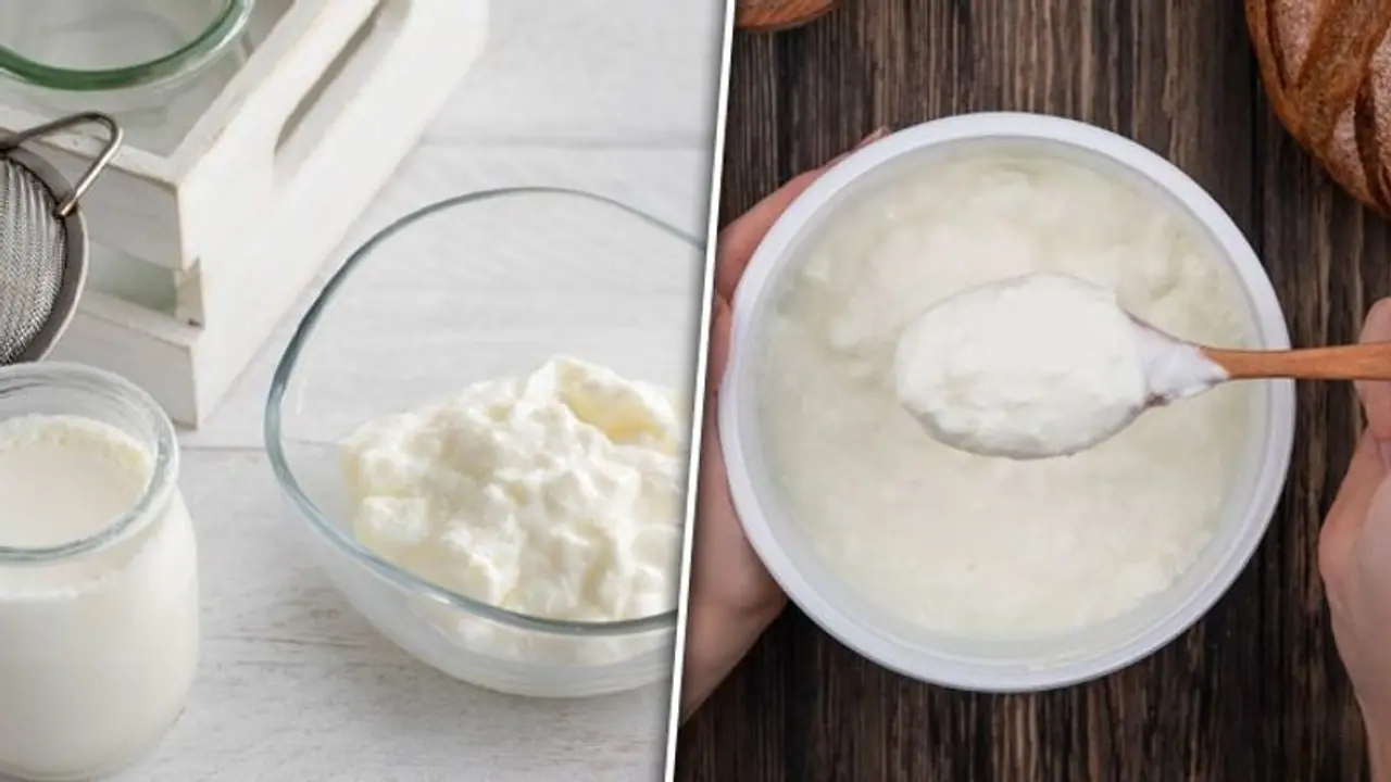 Curd vs. yogurt: 6 key differences between these dairy delicacies Curd vs. yogurt: 6 key differences between these dairy delicacies