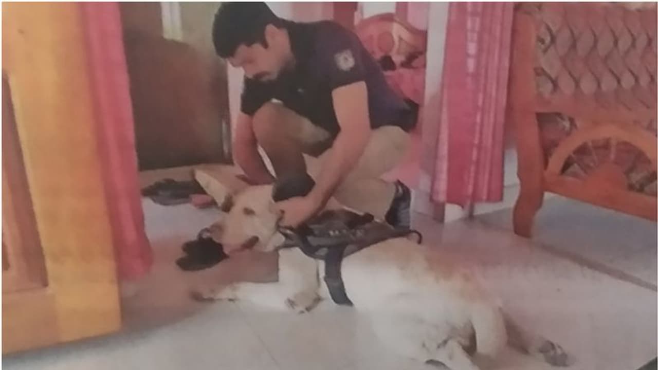 ഫ്യൂസൂരി, വേലിക്കല്ലുകൊണ്ട് വാതിൽ തകർത്തു; ഇടുക്കിയില്‍ 4 അംഗ കുടുംബം മോഷ്ടാക്കളെ ചെറുത്തത് സിനിമാ സ്റ്റൈലില്‍