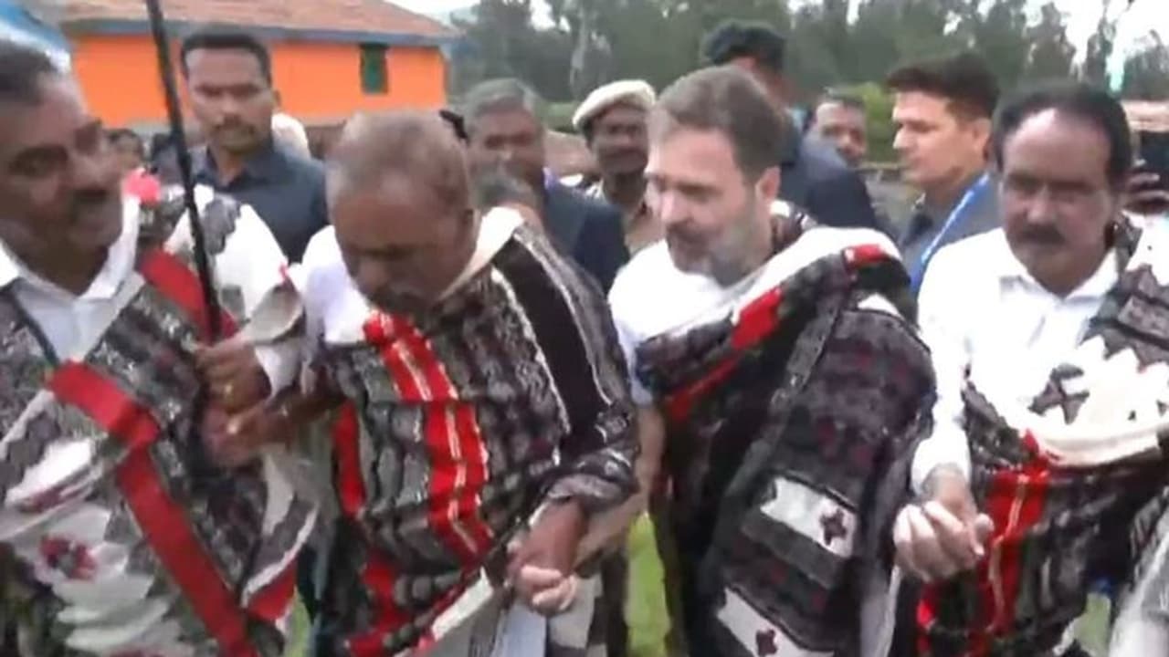 தோடர் பழங்குடியின மக்களுடன் ராகுல் காந்தி உற்சாக நடனம்!