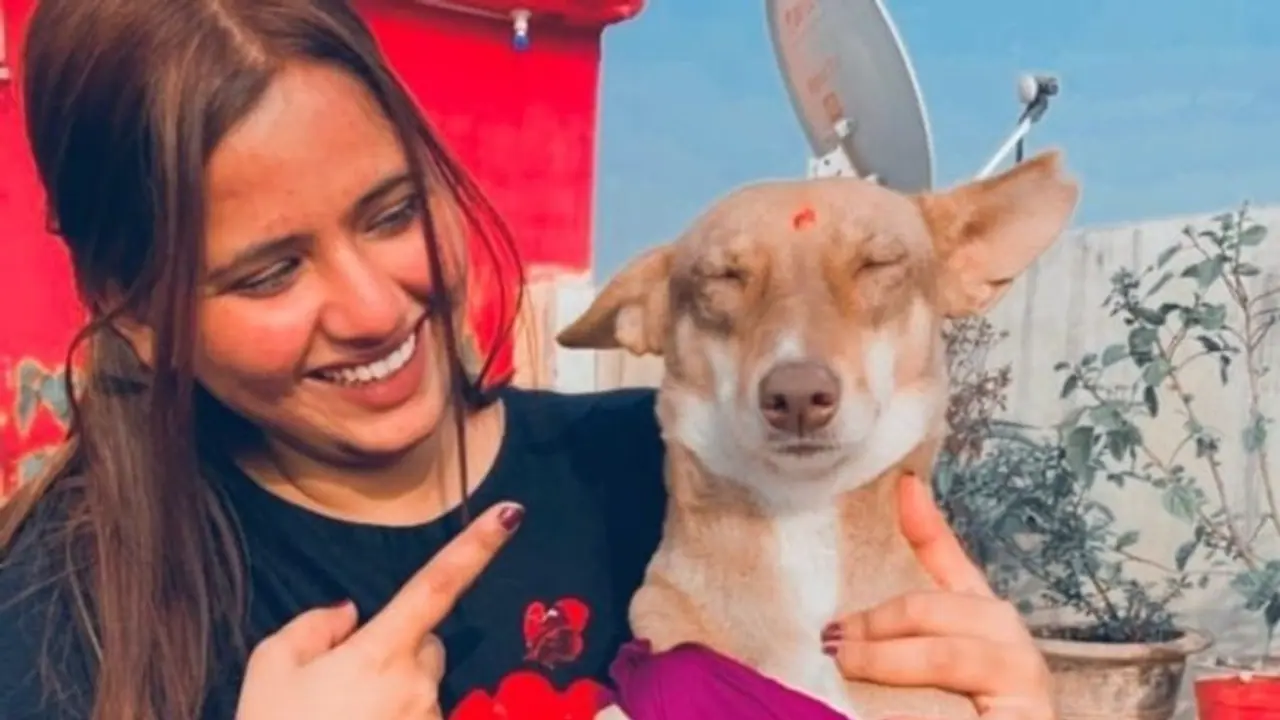 Charu Khare helps homeless animals find a forever loving home Charu Khare helps homeless animals find a forever loving home