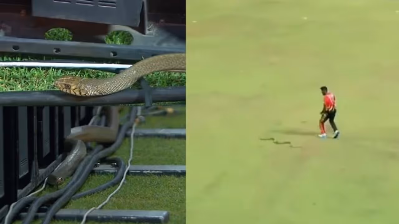 Snake Intrusions in LPL 2023: Isuru Udana's close call amidst cricket action