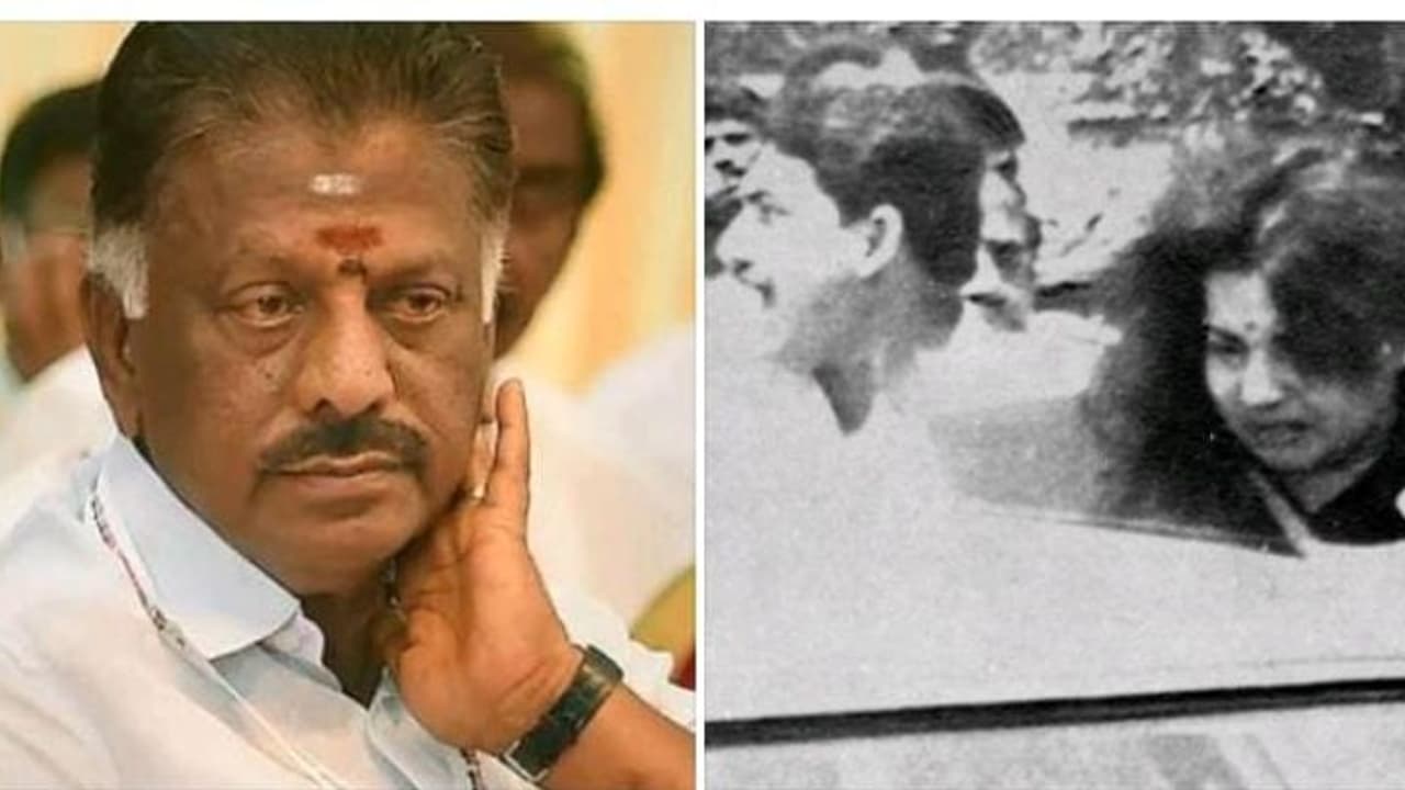 ஜெயலலிதாவின் புடவை இழுக்கப்பட்டதை நாடகம் என்று சொல்வதா.! முழுப் பூசணிக்காயை சோற்றில் மறைப்பதற்கு சமம் ஓபிஎஸ் ஜெயலலிதாவின் புடவை இழுக்கப்பட்டதை நாடகம் என்று சொல்வதா.! முழுப் பூசணிக்காயை சோற்றில் மறைப்பதற்கு சமம் ஓபிஎஸ்