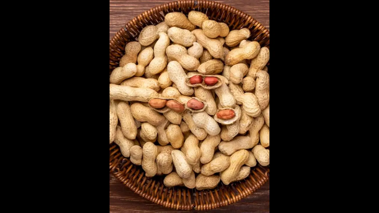 National Peanut Day 2023: Crunch into celebration National Peanut Day 2023: Crunch into celebration