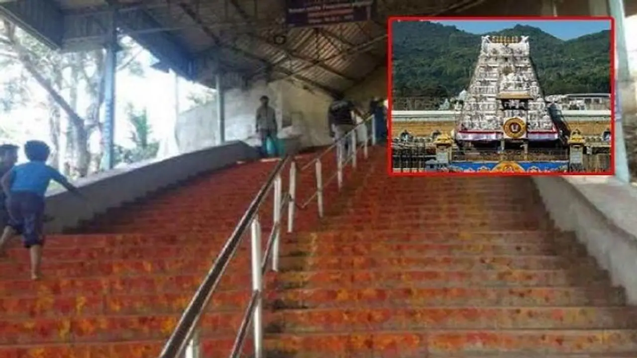 ತಿರುಪತಿಗೆ ಹೋಗುವ ಭಕ್ತಾದಿಗಳು ಗಮನಿಸಿ, ಟಿಟಿಡಿಯಿಂದ ಜಾರಿಯಾಗಿದೆ ಹೊಸ ರೂಲ್ಸ್! ತಿರುಪತಿಗೆ ಹೋಗುವ ಭಕ್ತಾದಿಗಳು ಗಮನಿಸಿ, ಟಿಟಿಡಿಯಿಂದ ಜಾರಿಯಾಗಿದೆ ಹೊಸ ರೂಲ್ಸ್!