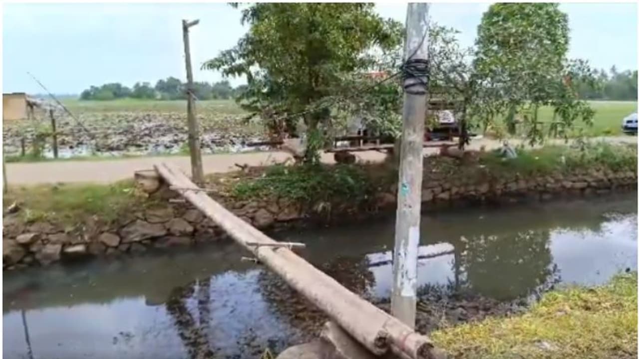 പുതുപ്പള്ളിയിലെ ഈ തടിപ്പാലത്തിന്റെ സത്യാവസ്ഥ എന്ത്? 'വെളിപ്പെടുത്തി' മന്ത്രി വാസവന്‍