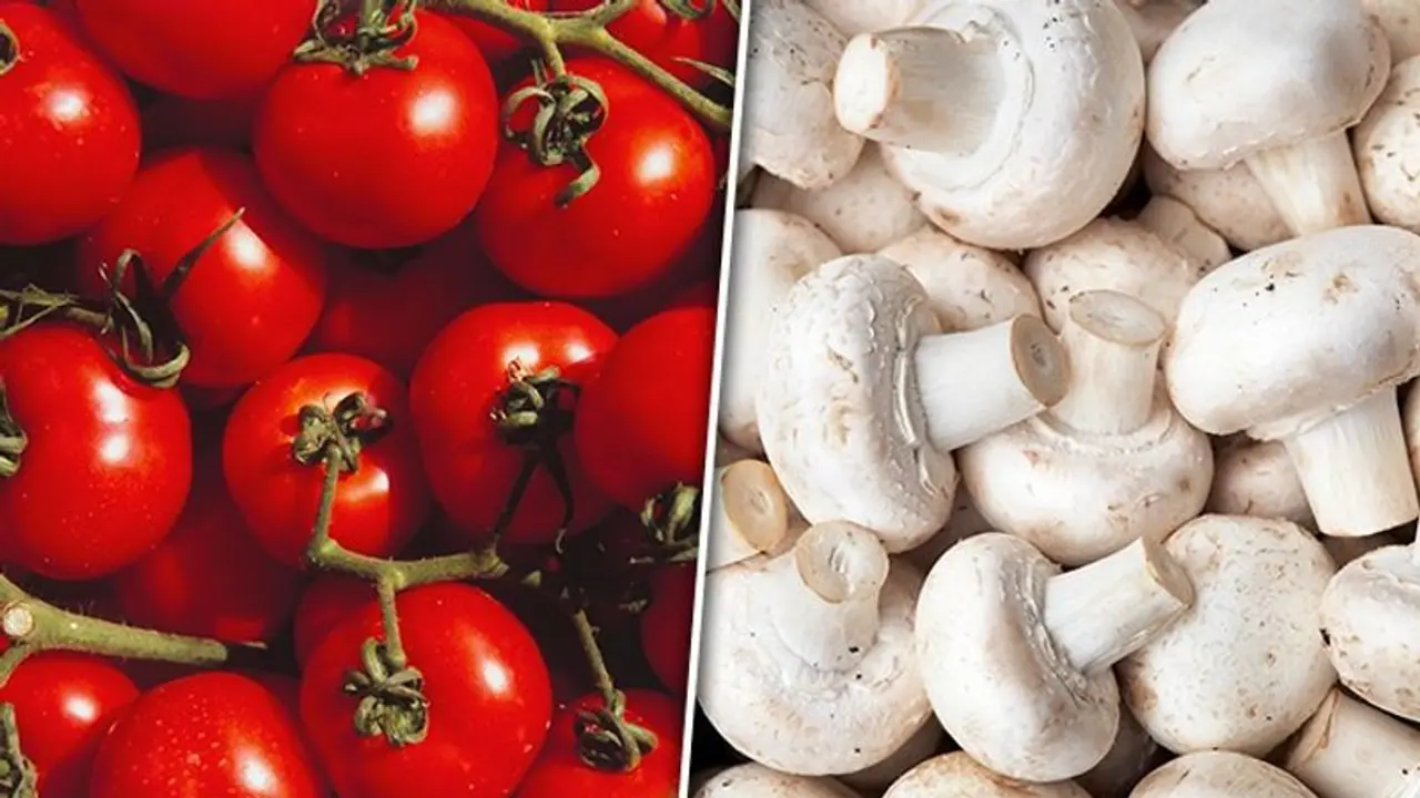 Tomatoes to Urea: 5 vegetables to avoid if one has high urea