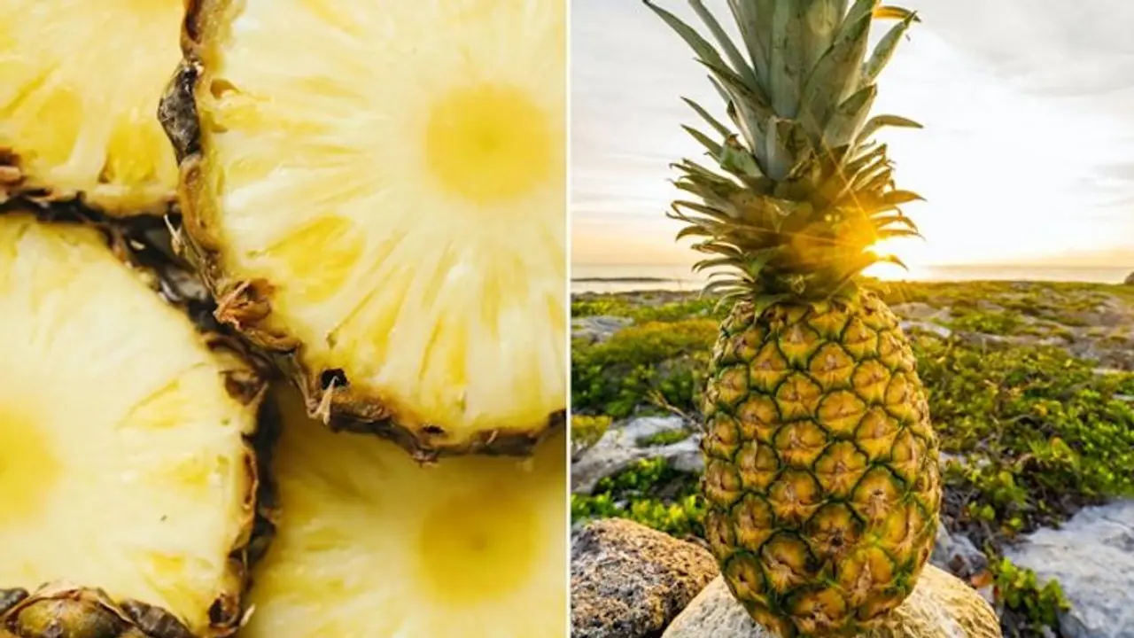 Illuminating to hydrating: 7 skin benefits of Pineapple Illuminating to hydrating: 7 skin benefits of Pineapple