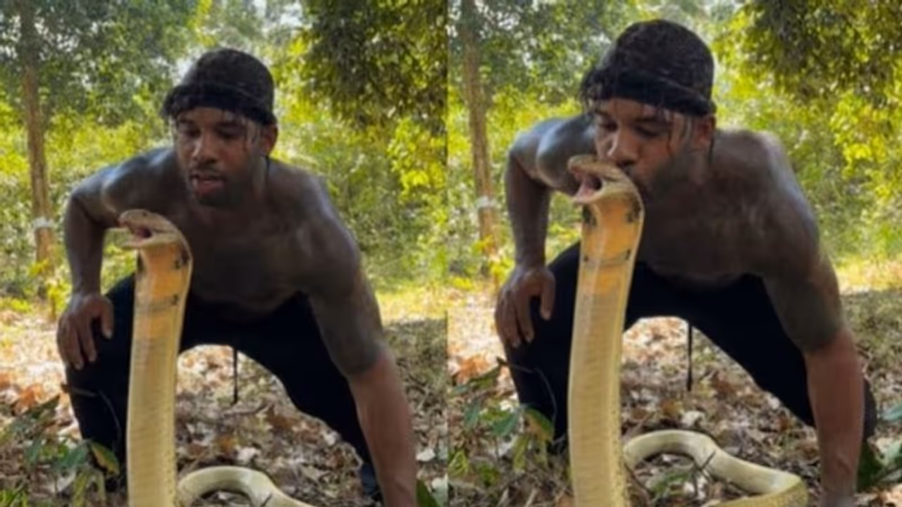 'ഇത് ഒറിജനല്‍, ധൈര്യം അപാരം തന്നെ'; മൂര്‍ഖൻ പാമ്പിന് ഉമ്മ കൊടുക്കുന്നയാള്‍!