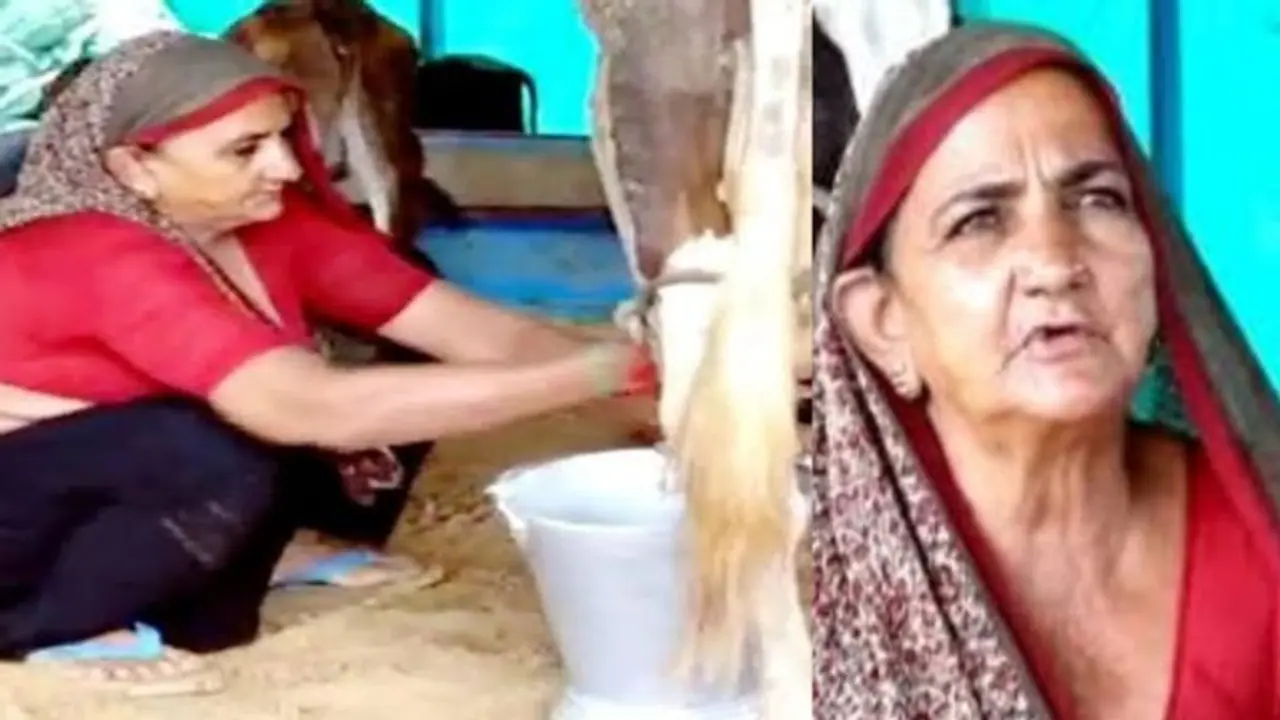 Women Achievers: At 64, Navalben is emerging as a leading businesswoman