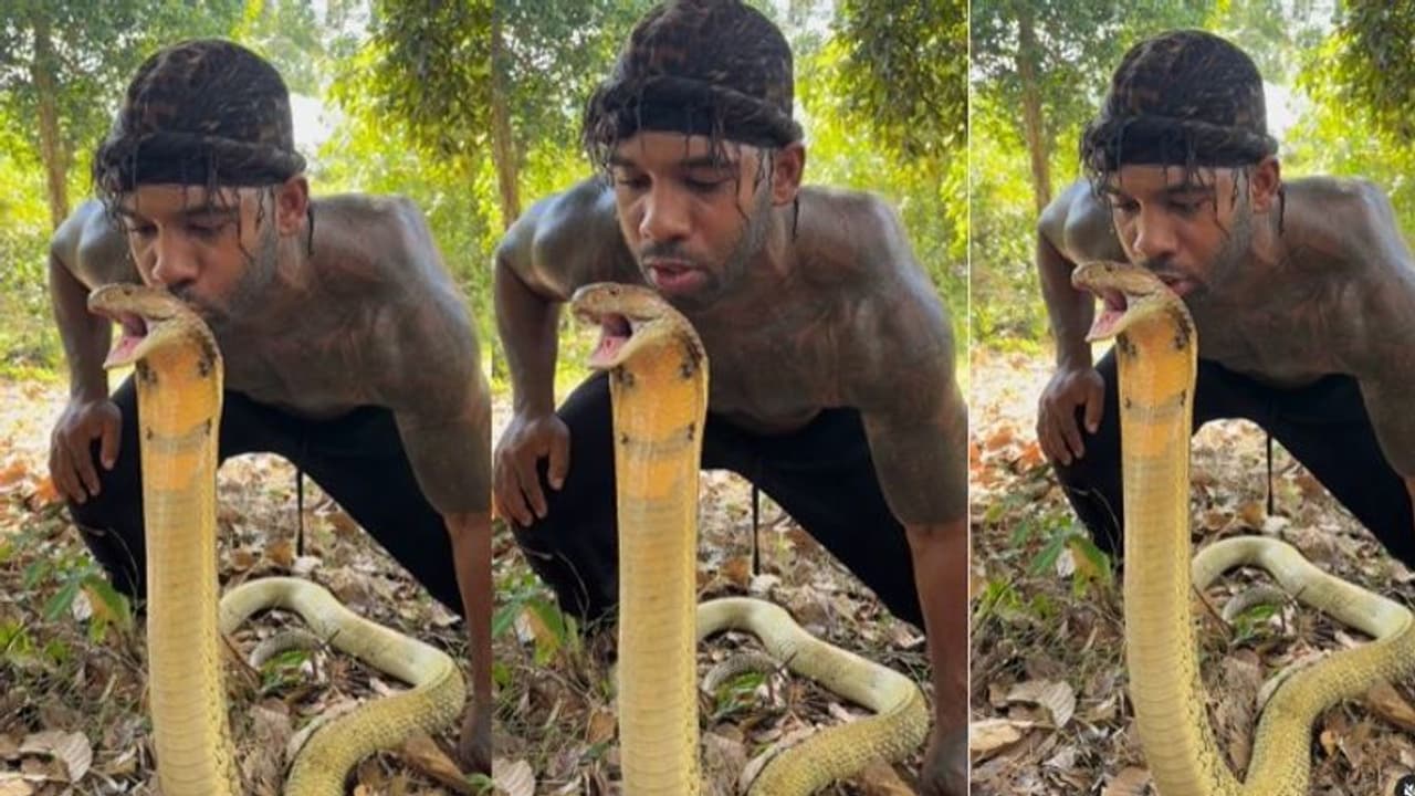 ಹಾವಿಗೆ ಮುತ್ತಿಕ್ಕಿದ ಯುವಕನ ವೀಡಿಯೋ ವೈರಲ್: ಹಾವು ವಾಪಸ್ ಮುತ್ತಿಟ್ರೆ ಕತೆ ಏನು?