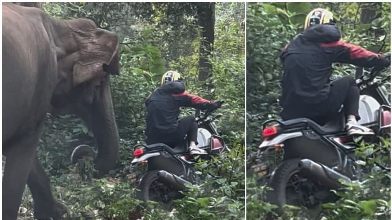 വീണുകിടന്ന ബൈക്ക് ഉയര്ത്തുന്നതിനിടെ തൊട്ടുപിന്നിൽ കലിയോടെ കാട്ടാന; അത്ഭുതകരമായി രക്ഷപ്പെട്ട് യുവാക്കള് വീഡ വീണുകിടന്ന ബൈക്ക് ഉയര്ത്തുന്നതിനിടെ തൊട്ടുപിന്നിൽ കലിയോടെ കാട്ടാന; അത്ഭുതകരമായി രക്ഷപ്പെട്ട് യുവാക്കള് വീഡ