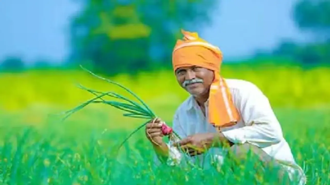 Explained: How Modi government's PMFBY crop insurance scheme has empowered India's farmers Explained: How Modi government's PMFBY crop insurance scheme has empowered India's farmers