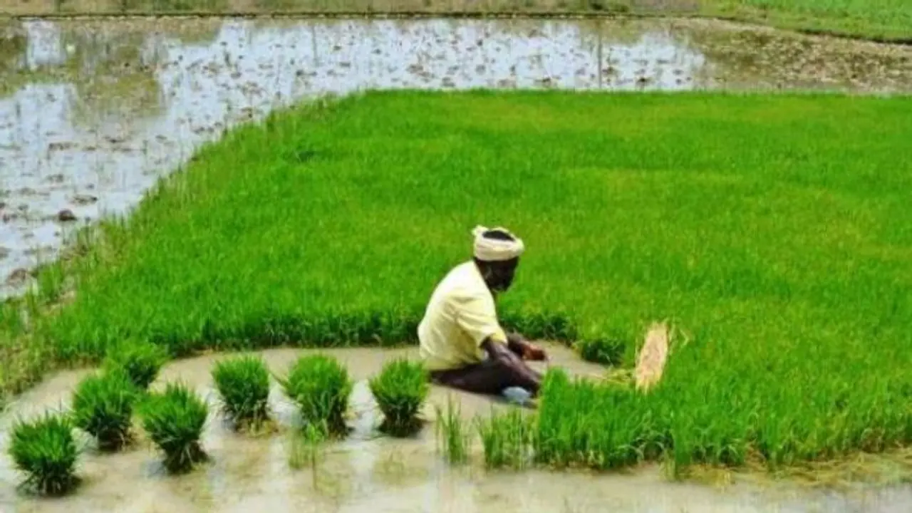 Budget 2024 : రైతులకు గుడ్ న్యూస్ చెప్పనుందా? వ్యవసాయ రుణ లక్ష్యం రూ. 22 25 లక్షల కోట్లకు పెరుగుతుందా? Budget 2024 : రైతులకు గుడ్ న్యూస్ చెప్పనుందా? వ్యవసాయ రుణ లక్ష్యం రూ. 22 25 లక్షల కోట్లకు పెరుగుతుందా?