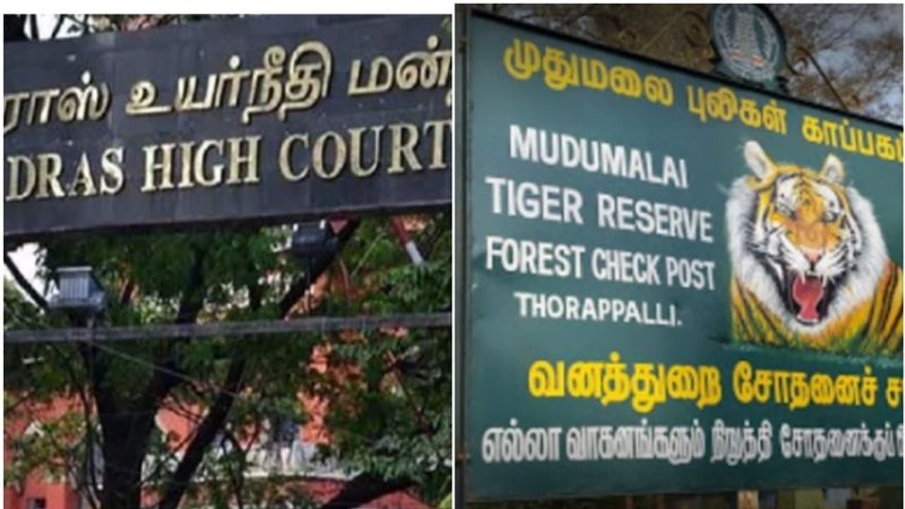 'ഭയം കൂടാതെ ജീവിക്കാൻ മൃഗങ്ങൾക്കും അവകാശം ഉണ്ട്,കടുവസങ്കേത്തോട് ചേര്ന്നുള്ള കുടുംബങ്ങളെ മാറ്റിപാർപ്പിക്കണം' 'ഭയം കൂടാതെ ജീവിക്കാൻ മൃഗങ്ങൾക്കും അവകാശം ഉണ്ട്,കടുവസങ്കേത്തോട് ചേര്ന്നുള്ള കുടുംബങ്ങളെ മാറ്റിപാർപ്പിക്കണം'