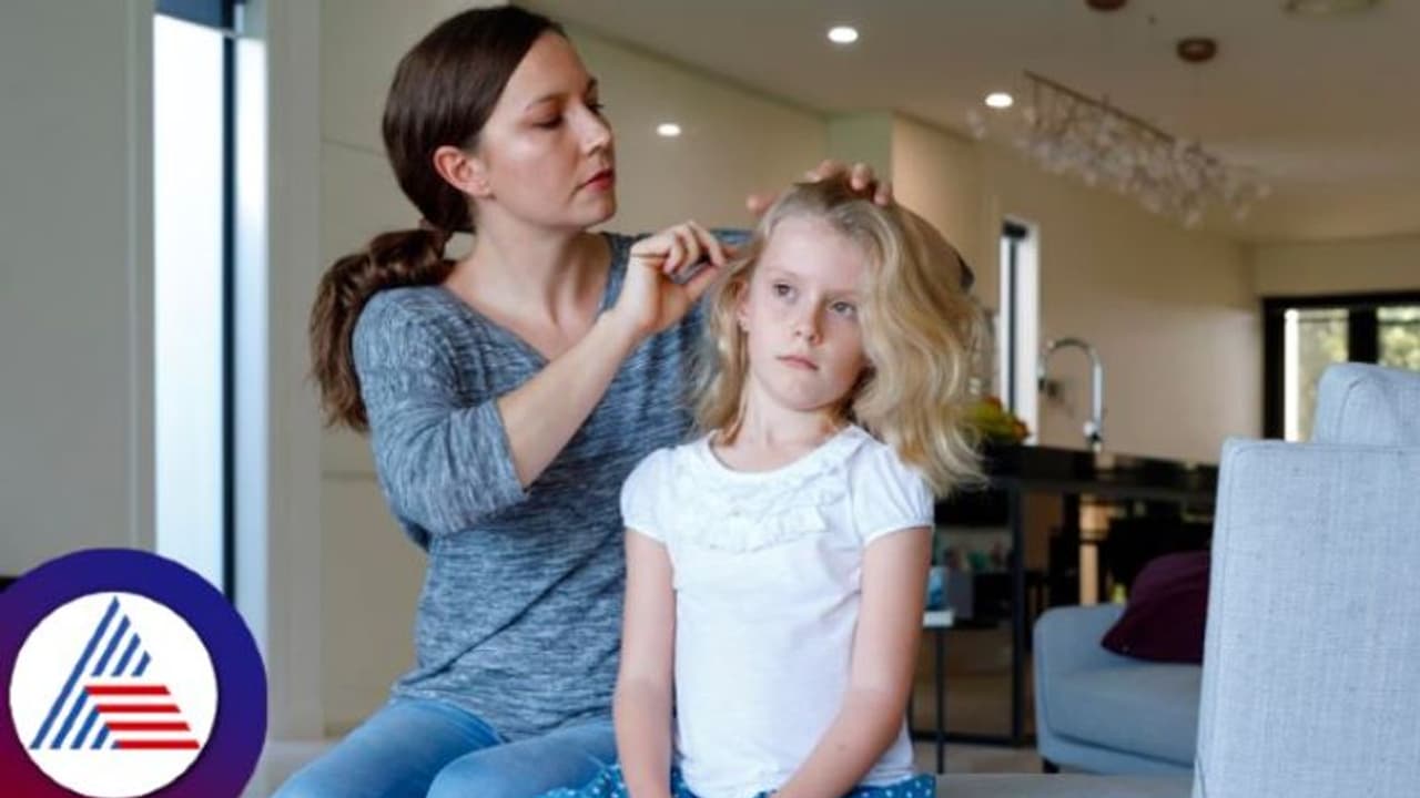 ಮಗಳ ತಲೆ ತುಂಬಾ ಹೇನು..ಸಾಯಿಸೋದಕ್ಕೆ ಸಸ್ಯಾಹಾರಿ ಅಮ್ಮನ ಅಬ್ಜೆಕ್ಷನ್! ಮಗಳ ತಲೆ ತುಂಬಾ ಹೇನು..ಸಾಯಿಸೋದಕ್ಕೆ ಸಸ್ಯಾಹಾರಿ ಅಮ್ಮನ ಅಬ್ಜೆಕ್ಷನ್!