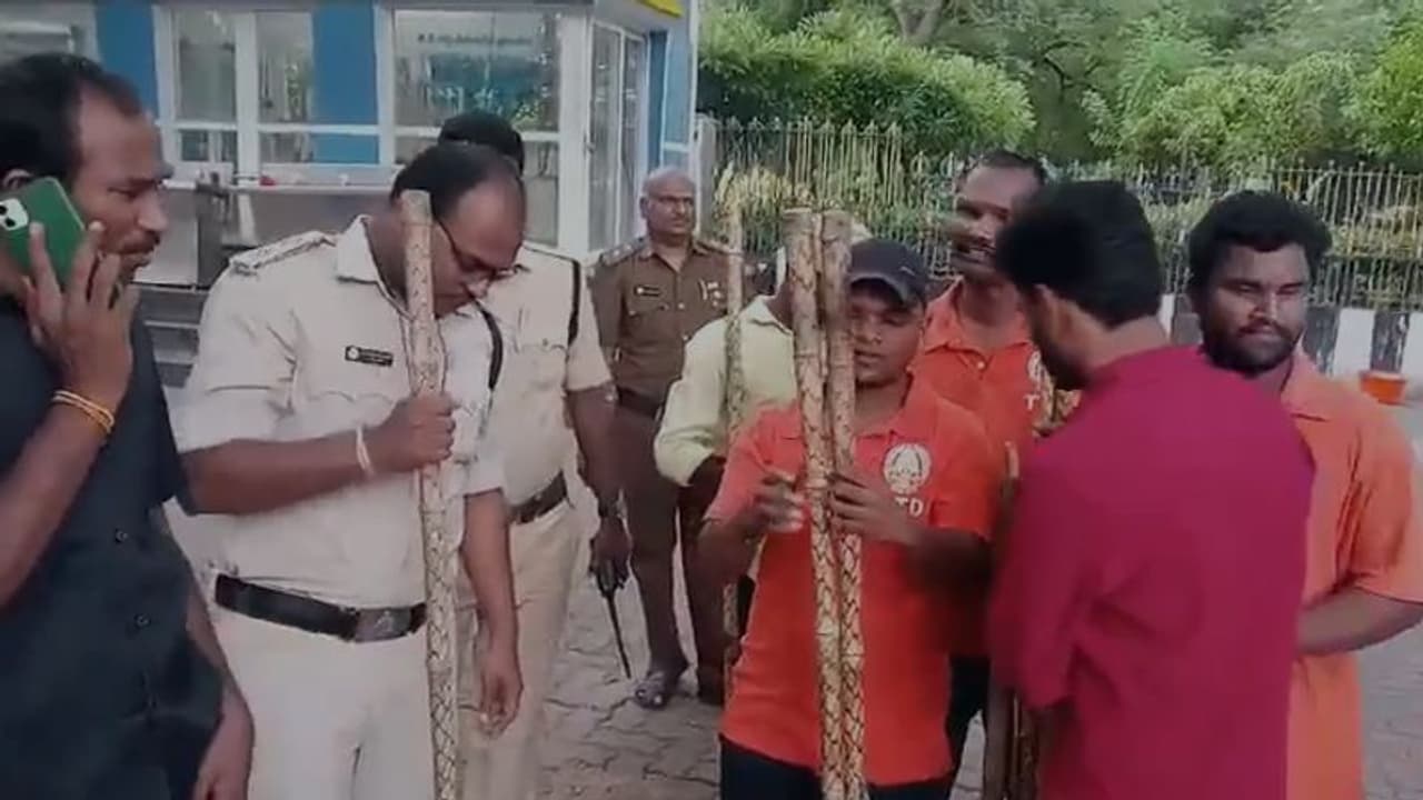 భక్తుల కోసం కర్రలు సిద్దమట... ఇక చిరుతల్ని తరమడమేనా...: టిటిడి నిర్ణయంపై ట్రోలింగ్.. (వీడియో) భక్తుల కోసం కర్రలు సిద్దమట... ఇక చిరుతల్ని తరమడమేనా...: టిటిడి నిర్ణయంపై ట్రోలింగ్.. (వీడియో)