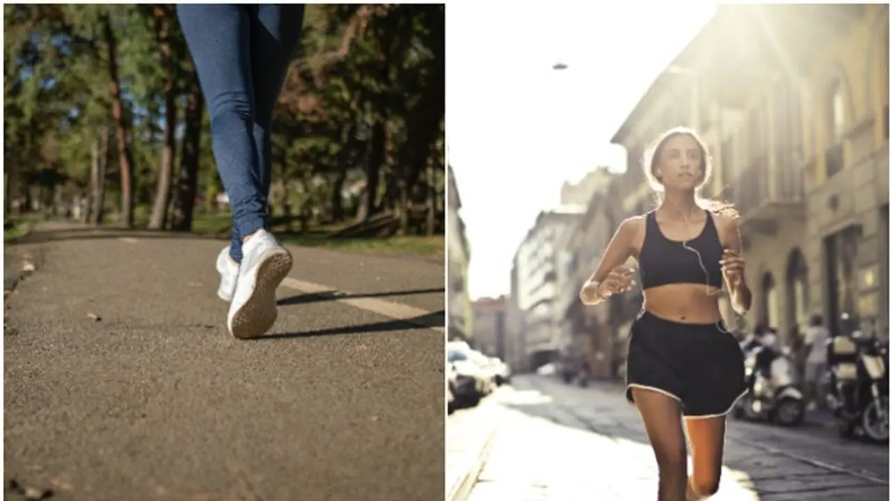 Morning Walk Morning Walk